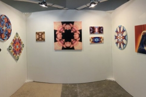 Echo Art Fair - 2014